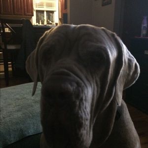 Meet your Posher, Chris